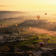 Image for article titled Epic and intimate glimpses of nature from the Sony World Photography Awards